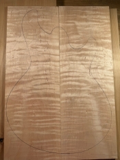 Amnis Novus Hiroshi Shibasaki Specs